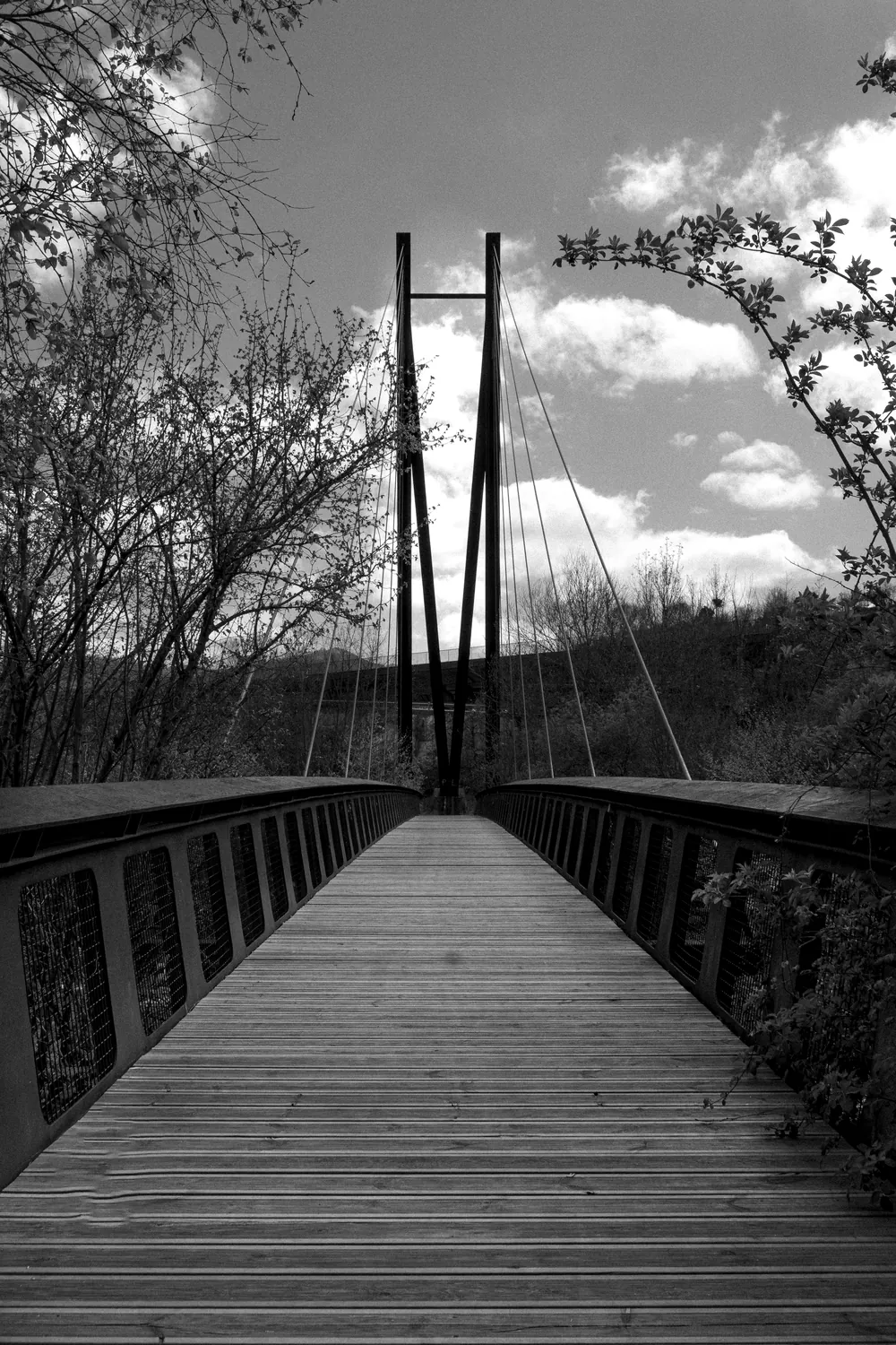 La misma pasarela en vertical, los cables tensados contra el cielo